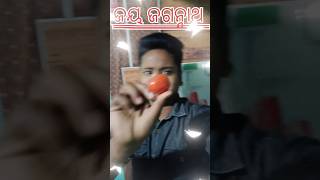 ଜୟ ଜଗନ୍ନାଥ।ଆଜି ଗୋଟେ ନୂଆ dish କରିବା ।daily vlog.#shorts#viral