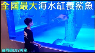 全國最大私人海水缸養鯊魚【八斗子餐廳】白同學水族採訪