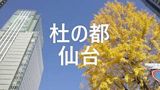 「仙台　オシャレな街のオシャレな通り⑦」東二番丁通り　～　森の都のスカイスクレイパー、恋人たちを見守る絶景スポット、地上135mの天空チャペル、オシャレなオフィス街