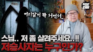 100% 실제 경험!! 저승사자가 근처에 있으면 XX한 느낌이 든다? 저승사자는 누구일까?!