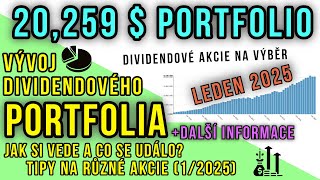 Vývoj akciového portfolia v polovině měsíce LEDEN 2025 a kam by se dalo nyní investovat?