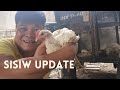 Sisiw Update |YABAGIZ VLOGS