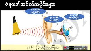 G7_Science_Chapter_6_Sound