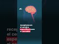 4:20; ¿La mariguana ayuda contra el insomnio? - N+