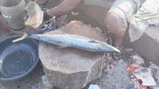 4kg vanjaram fish cutting | 900 pre kg | cutting charge 80 rs | Cuddalore fish market | king fish.