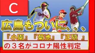 広島カープ　『菊池涼介』『小園海斗』『正隨優弥』の３名が新型コロナウィルス陽性で離脱へ　１８日の巨人戦は大幅に人数を入れ替えて行う模様