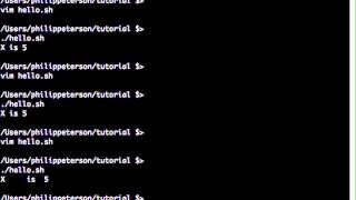 Bash Scripting Tutorial 4 -- Hello World!, functions, and integer arithmetic