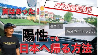 【海外旅行トラブル】パラオ旅行、日本帰国時PCR検査でコロナ陽性になったら『帰国困難者にならないために知っておくこと』