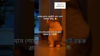 কিন্তু আমার বউ নাই🙂 #banglastatus #funny #catvideos #catfunny #quots #cute #funnycatvideos #status