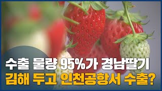 수출 딸기 95%가 경남산인데 인천공항서 수출?