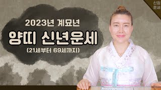 [신년운세] 2023년 양 띠 신년운세! (21세부터 69세까지!)