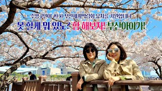 [특집] 2030부산세계박람회 유치기원_새수영브리핑 제 314호