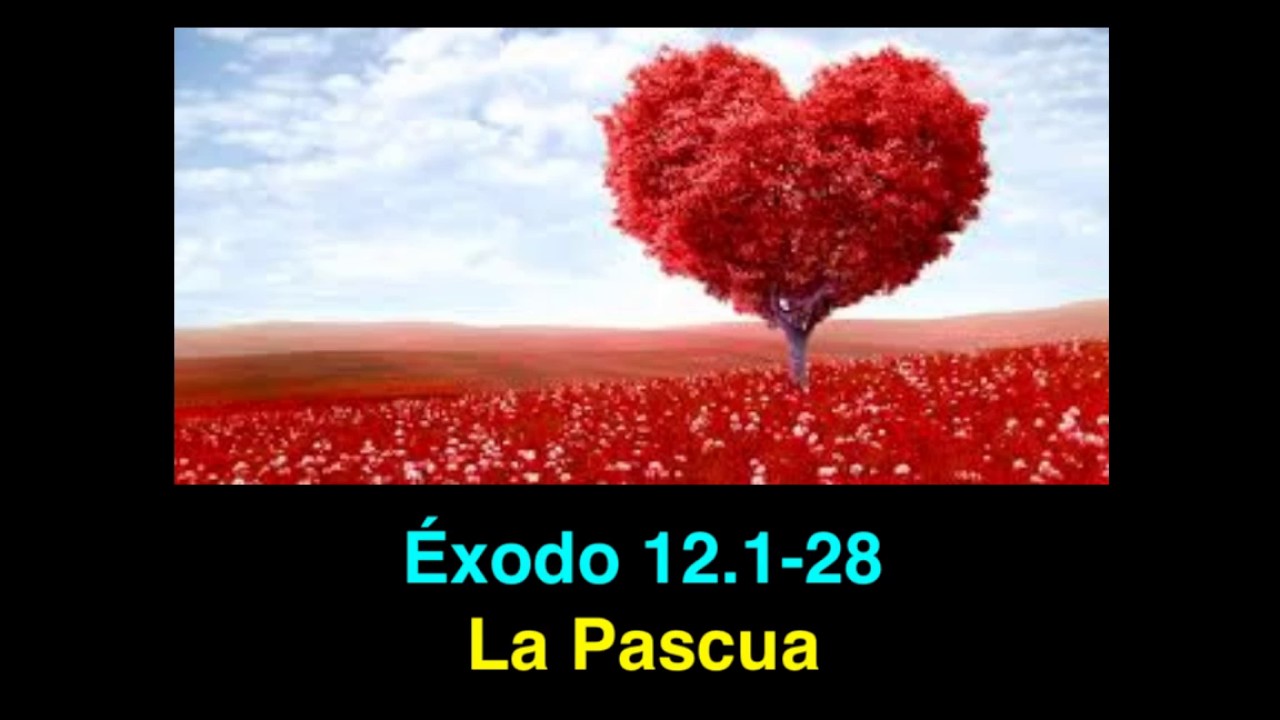 Éxodo 12. 1- 28: La Pascua (¿Qué Significa Y Cada Cuándo Hay Que ...