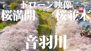 音羽川 4K ドローン映像 Otowa River Drone Video