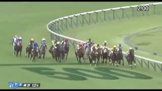 競馬　目黒記念　レース結果　動画　2020年