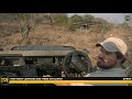 safarilive sunset safari september 26 2018