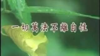 暢談六祖壇經（072）不離自性