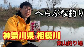 【ヘラブナ釣り】相模川 葉山へら釣場