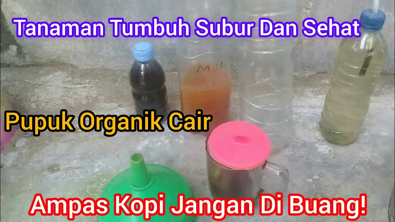 Cara Membuat POC (Pupuk Organik Cair) Ampas Kopi Dan Air Cucian Beras ...