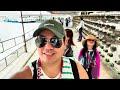 norwegian jewel cruise embarks from manila for the first time full 12 day vlog experience