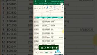 Freeze Multiple Rows and or Columns in Excel using Freeze Panes