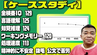 【ケーススタディ】 WISC全検査IQ129、言語理解125、知覚推理124、ワーキングメモリー120、処理速度113、精神的に不安定、抜毛、公文で苦労している。