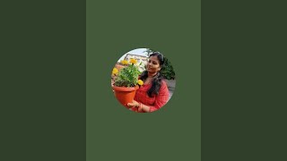 Gardening with Arundhati is live!