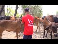 Who Is Eligible for Qurbani?