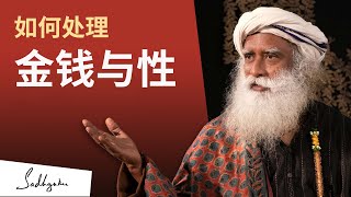 如何处理金钱与性？| Sadhguru 萨古鲁