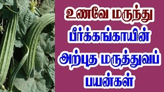 MEDICINAL BENEFITS OF RIDGE GOURD / உணவே மருந்து - பீர்க்கங்காயின் அற்புத மருத்துவப் பயன்கள்