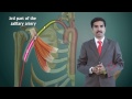 axillary artery anatomy animated lecture