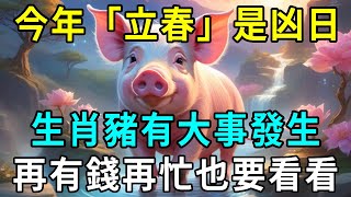 今年「立春」是凶日！百年難得一遇。生肖豬有大事發生！再有錢再忙也要看看！|明心見禪#生肖 #運勢 #風水