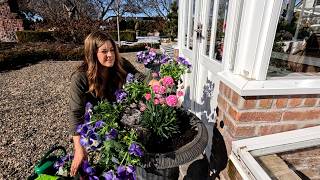 Donating a Succulent Arrangement, Spring Container Planting + Pruning Roses & Hydrangeas! 🥰🌸✂️