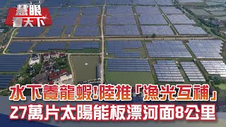 水上太陽能發電 水下養大閘蟹小龍蝦! 陸「漁光互補」27萬片太陽能板漂河面8公里! 年發電1億兩千萬度!｜20201003慧眼看天下第116集-透視兩岸-EP116精華