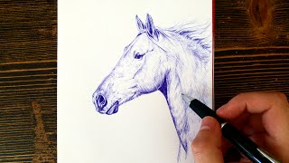 Drawing a horse with Ball point pen only! | Leontine van vliet