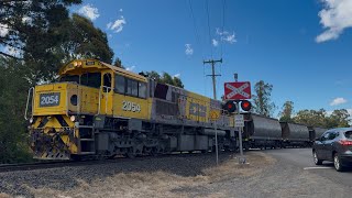 TasRail 2054 #55 train crossing Glenwood Road