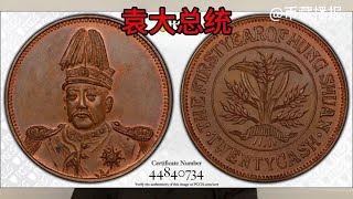 洪宪元年袁大总统像二十文铜币/PCGS MS64BN冠军分，106700元成交