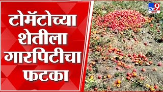 Bhandara Unseasonal Rain | भंडाऱ्यात गारपीटीसह वादळी वाऱ्यांचे थैमान; पिकांचे नुकसान, शेतकरी हवालदिल