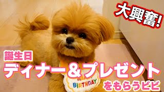 ５歳のお誕生日ディナーとプレゼントをもらうの巻