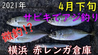 018【横浜 赤レンガ倉庫】4月下旬 夕マズメ サビキでアジ釣り with 紲星あかり