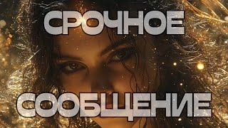 🚨СРОЧНОЕ СООБЩЕНИЕ📩ПРЕДУПРЕЖДЕНИЕ‼️