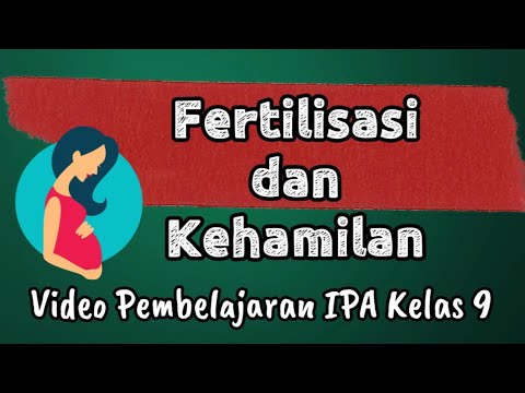 FERTILISASI DAN KEHAMILAN - YouTube