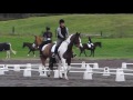 saltaire andy s boy horowhenua dressage test 1a