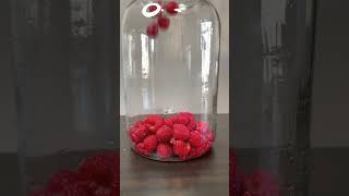 HOW TO MAKE RASPBERRY MEAD (PART 1)