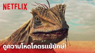 ไลโอโคตรแย้ยักษ์ Highlight- ดูชัดๆ ความโหดของ 'โคตรแย้' อยู่ที่สูงก็ไม่รอด! | Netflix