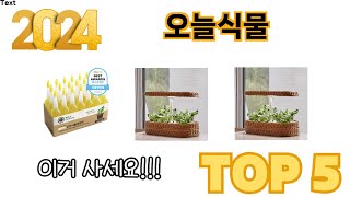 가장 많이 판매된 오늘식물 추천 순위 TOP 5 쇼핑정보