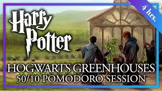 STUDY IN THE HOGWARTS GREENHOUSES - 50/10 Long Pomodoro Session - Harry Potter ASMR