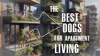 Top 11 Best Dogs for Apartment Living