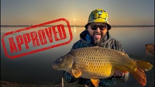 Ponturi pentru pescuit iarna | Carp fishing winter tips