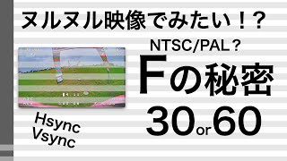 動画のフレームレート NTSC/PAL FPVのゴーグル映像ヌルヌル化の仕組み